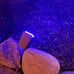 Solar Spotlights Outdoor,40 LEDs Color Changing RGB Landscape Path Lights