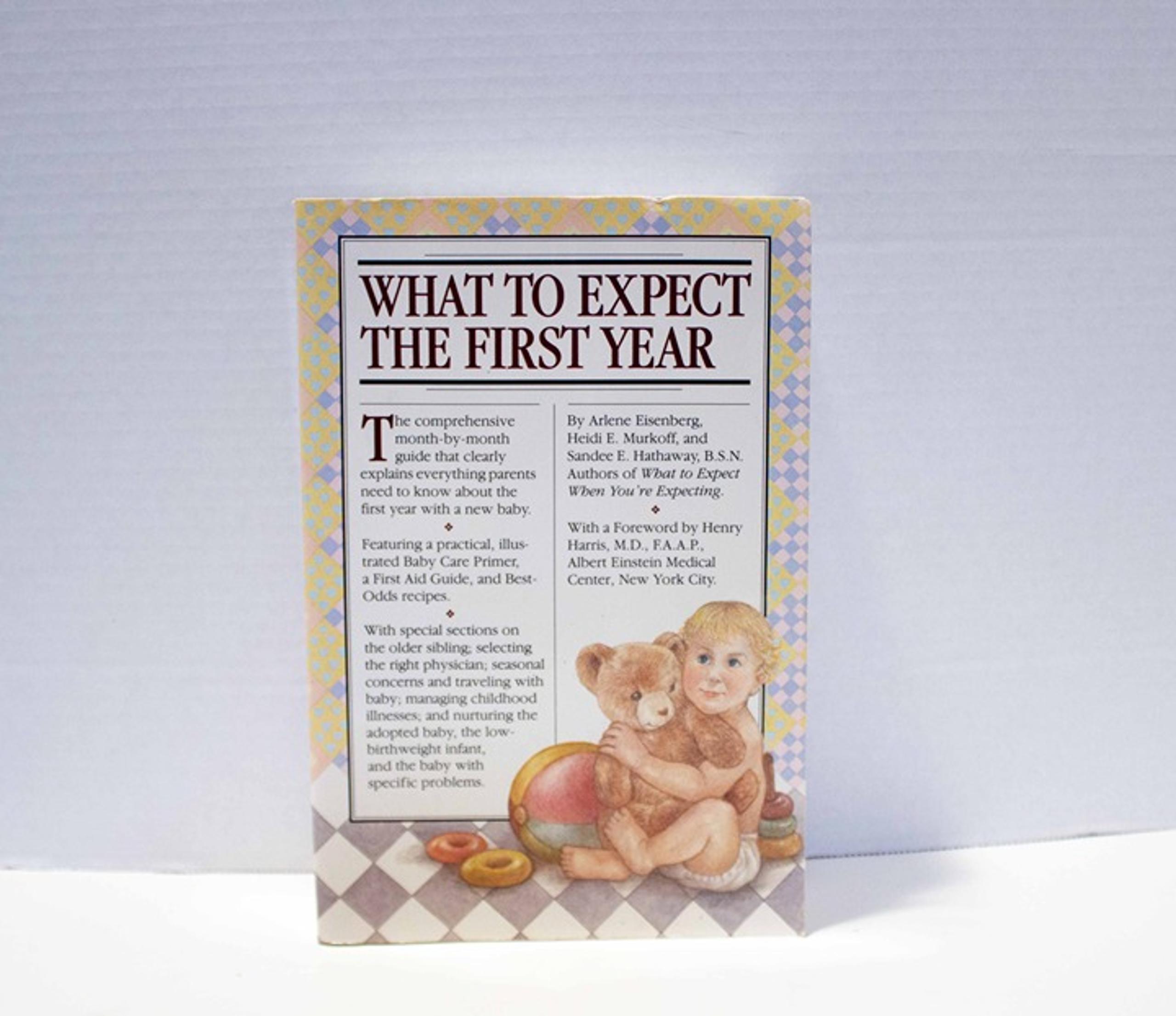 What To Expect The First Year Eisenberg Murkoff Hathaway SC Illustrated 1996