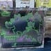 POKEMON ETB DISPLAY MAGNETIC CASE PROTECTOR ELITE TRAINER BOX HIGH QUALITY