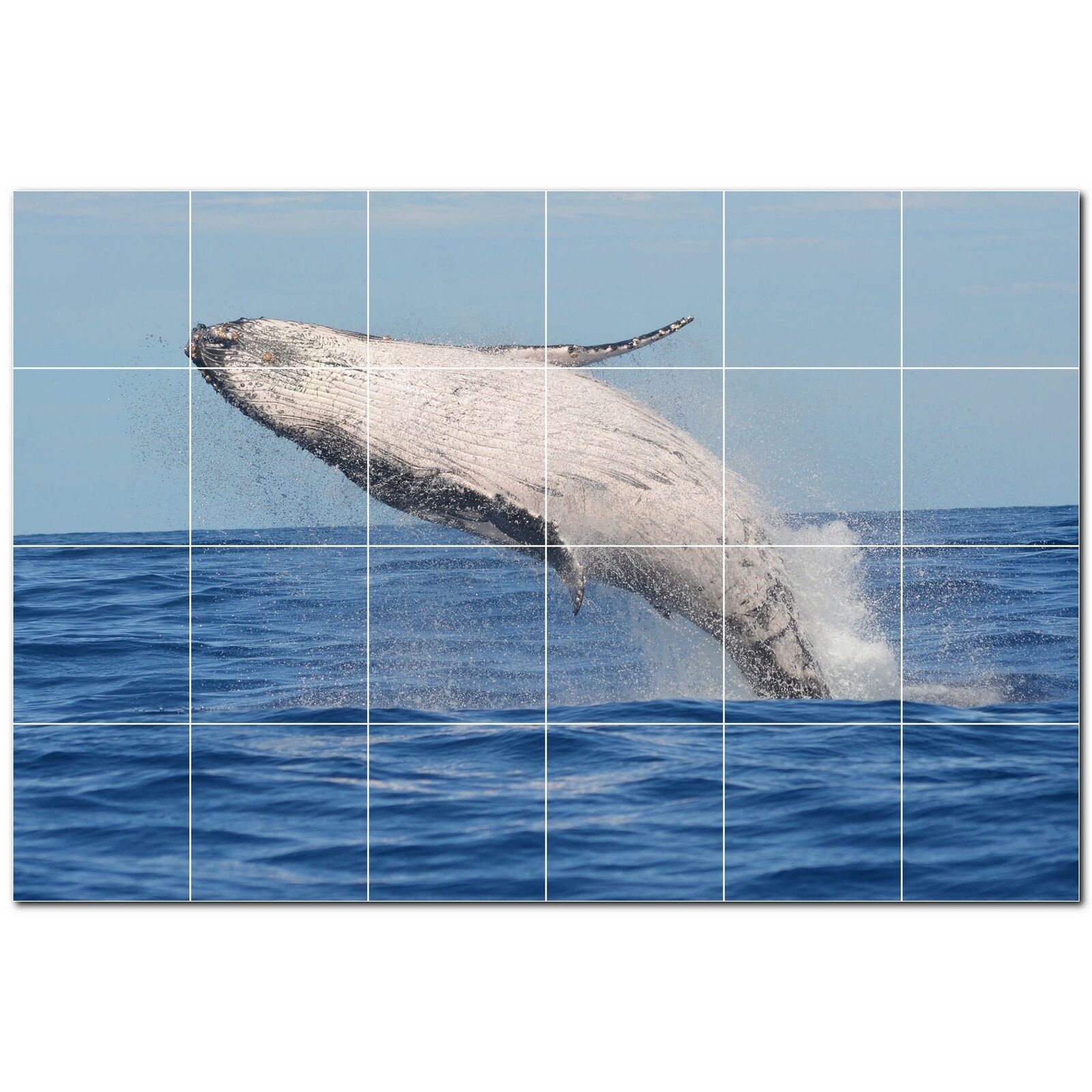Whale Ceramic Tile Wall Mural PT501192. 48 W x 32 H (24) 8x8 tiles