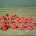 Bulk Sale of Erasers - Showa Retro - Toys - BANDAI