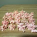 Bulk Sale of Erasers - Showa Retro - Toys - BANDAI