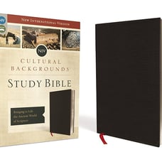 NEW Cultural Backgrounds BLACK Leather NIV STUDY BIBLE