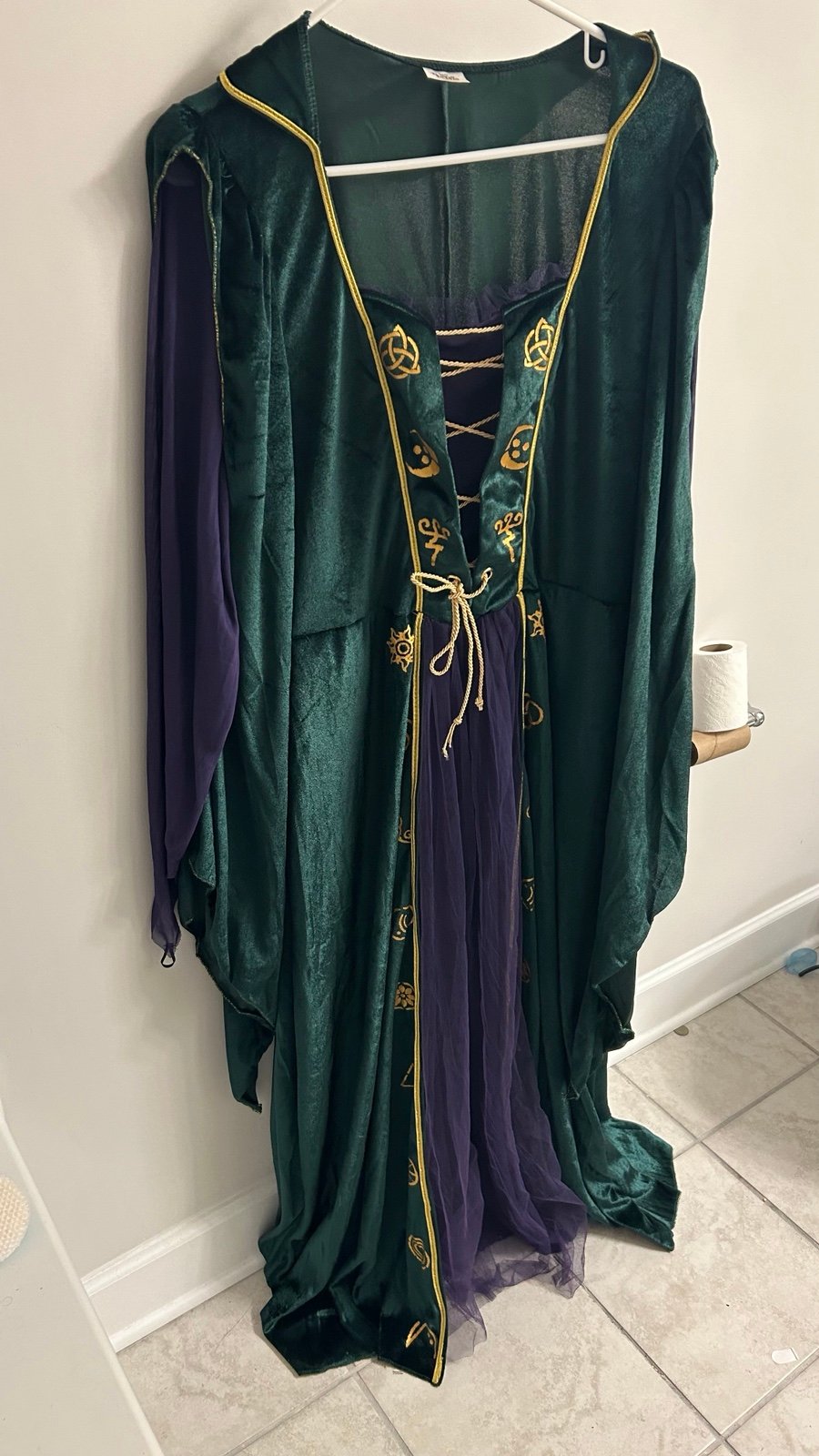 HOCUS POCUS- Winnie Fred Sanderson Costume Size XL Plus Hat