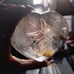Clear Quartz heart