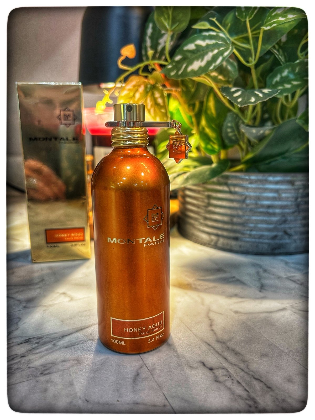 Montale Honey Aoud