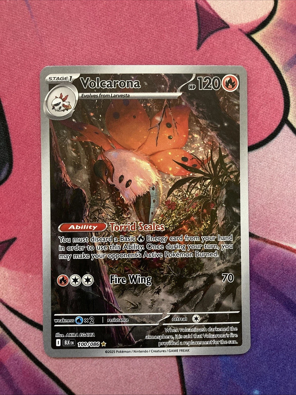 Volcarona 100/086 Black Bolt Holo Illustration Rare NM English BLK Pokemon Card