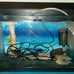 Complete fish tank