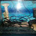 Complete fish tank
