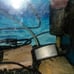 Complete fish tank