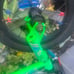12” HARO SHREDDER SIDEWALK BIKE -bad apple green- Dave Mirra would be so proud!