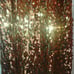 Sparkly Gold Dance Costume