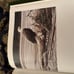 autographed and hand signed Art Book Robert Bateman