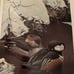 autographed and hand signed Art Book Robert Bateman