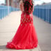 Anny Lee Prom Dress/Medium (Size 8)/Red and Gold! ***WORN ONCE***