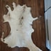 Real goat pelt