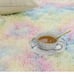 Fluffy Rainbow AreaRugs Colorful Carpet 5 x 8 F