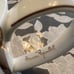 Henri Bendel Striped Teapot Brown White & Gold Bone Italy Stripe