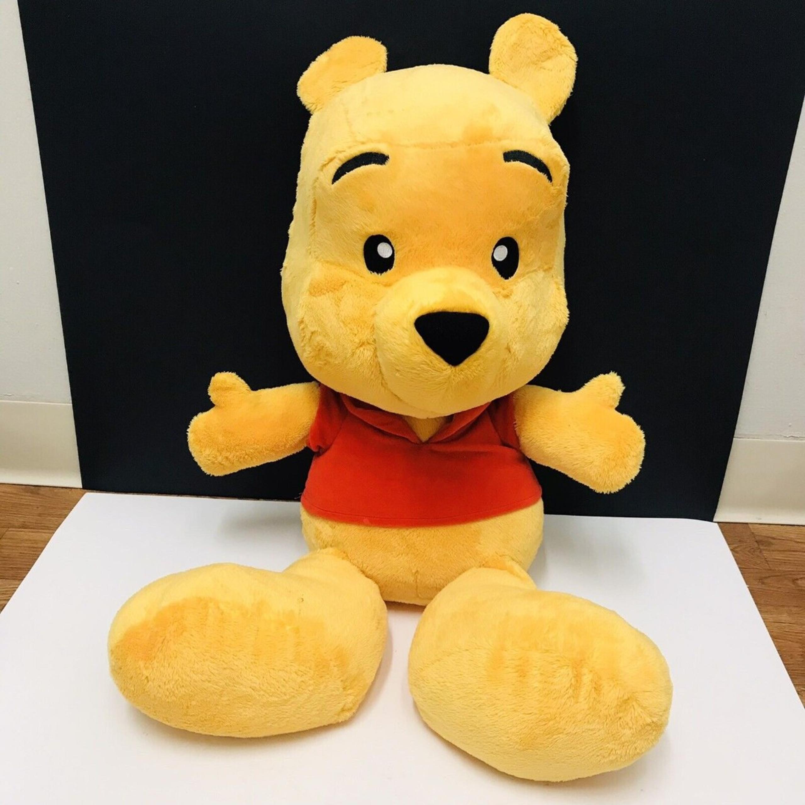 Disney Winnie The Pooh Plush - Christopher Robin Large Size