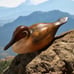 Vtg Wooden Duck Decoy Hand-Crafted Hand Painted Cranford Hickory NC Collectible
