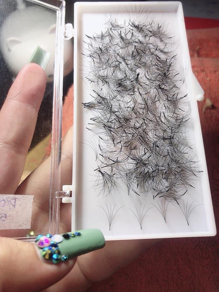 6D+2 box of 8D eyelash extension 1000 fan/ box