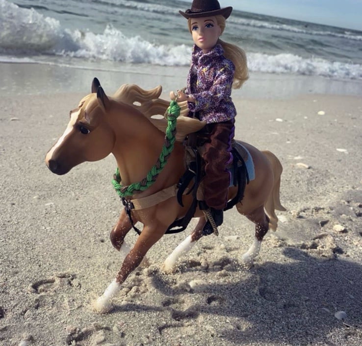 Horse