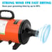 Pet Daily Kit Dog Dryer, Pet Grooming Blow Dryer with LCD Display 5.2HP/3800W