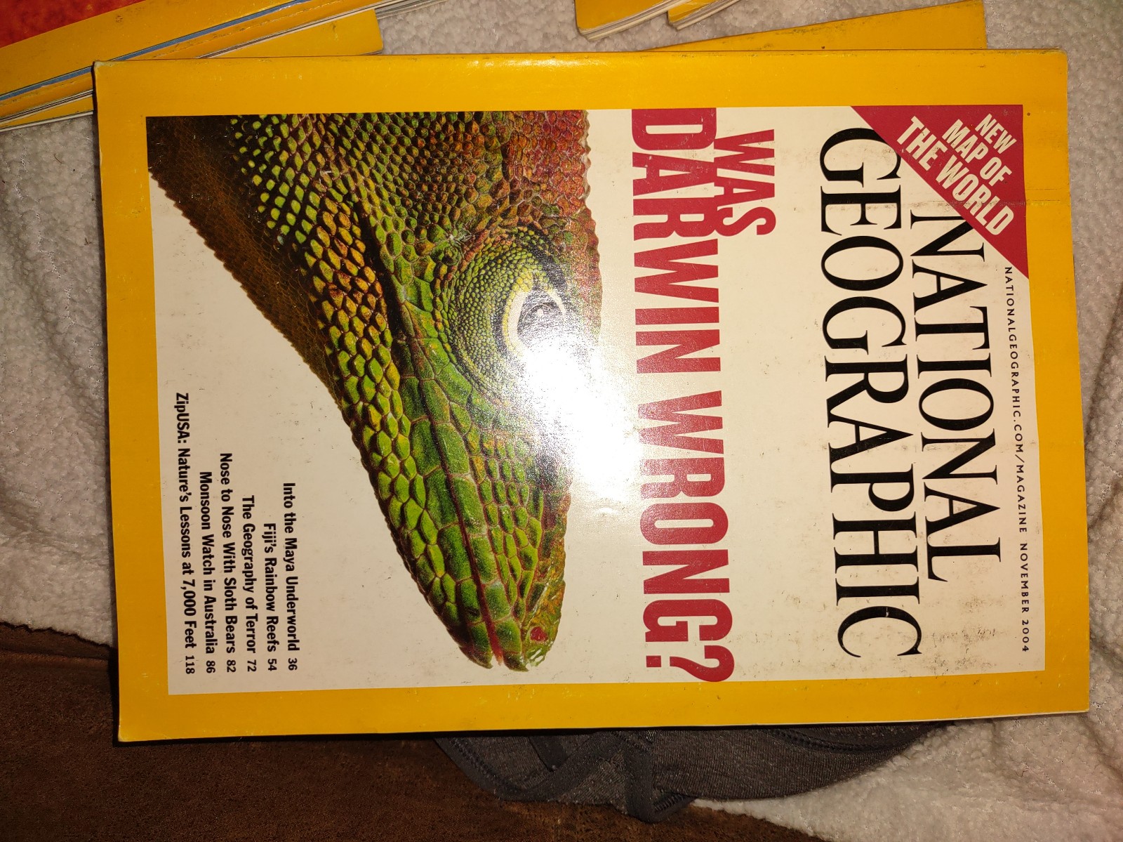 National geographic 2004