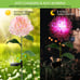 Solar Flower Lights Outdoor Decorative 4 Pack