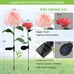 Solar Flower Lights Outdoor Decorative 4 Pack