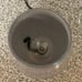 NEW Rainbow Fireworks Glass Electric Oil Burner Warmer 25W Lamp