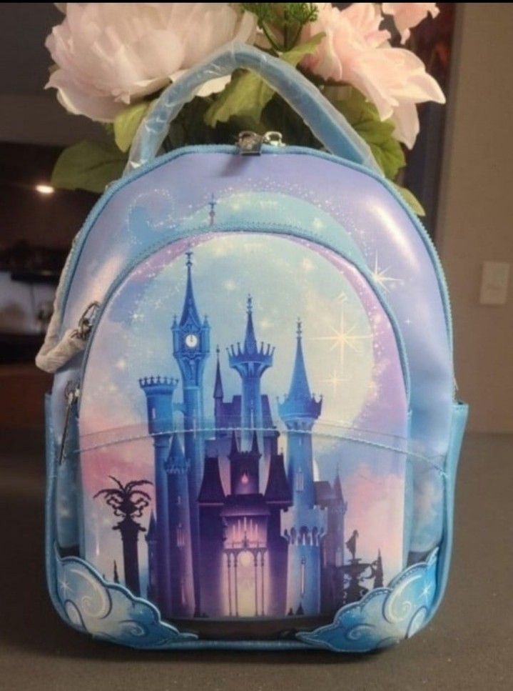 Danielle Nicole Cinderella Castle