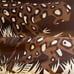Stunning Vintage Lanvin Silk Scarf Crouching Big Cat 17 In by 60 In Mint Cond