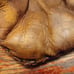 Vintage Butch Byrnes Regent Baseball Glove