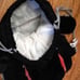 NHL Pittsburgh Penguins Backpack Pal