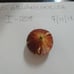3x I 258 Fig Tree Cutting Italian 258 I-258