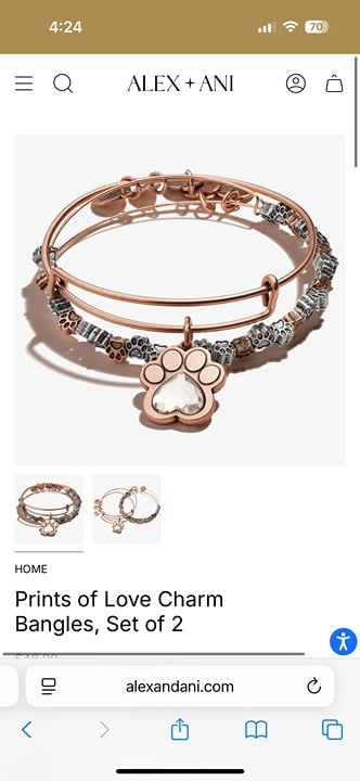 Alex and Ani prints of love bangle set