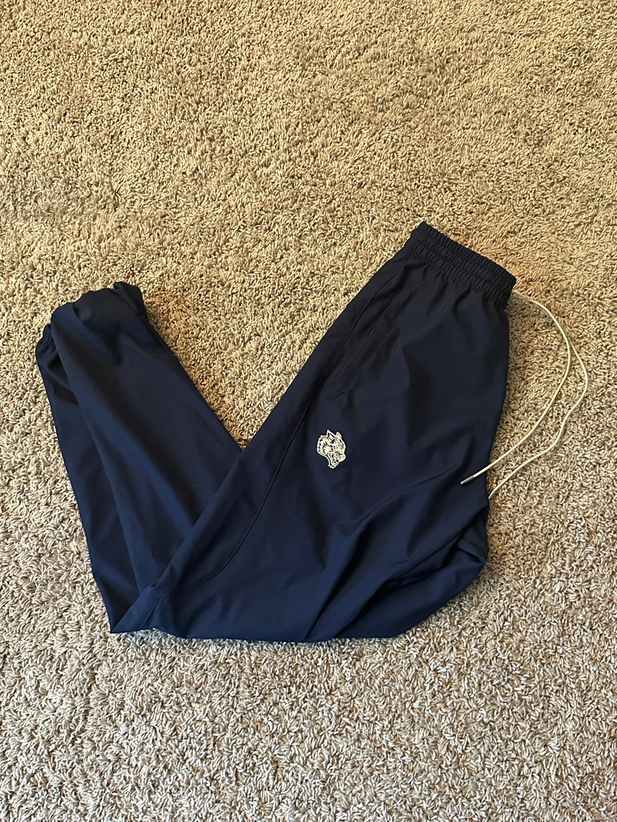 Darc sport sweatpants / joggers