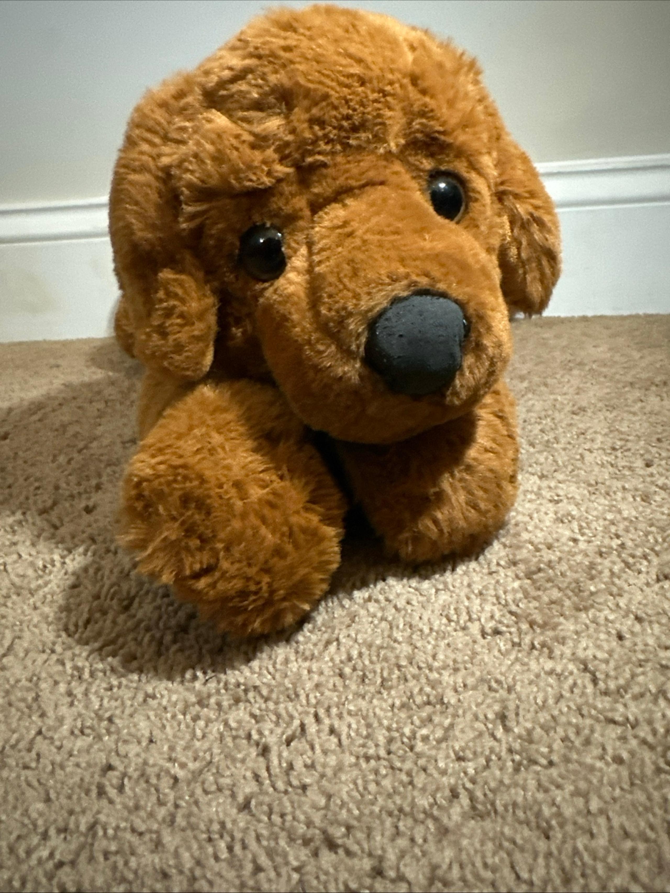 FAO Schwarz Adopt A Pet Dark Brown Puppy Dog Golden Retriever Plush Stuffed Toy