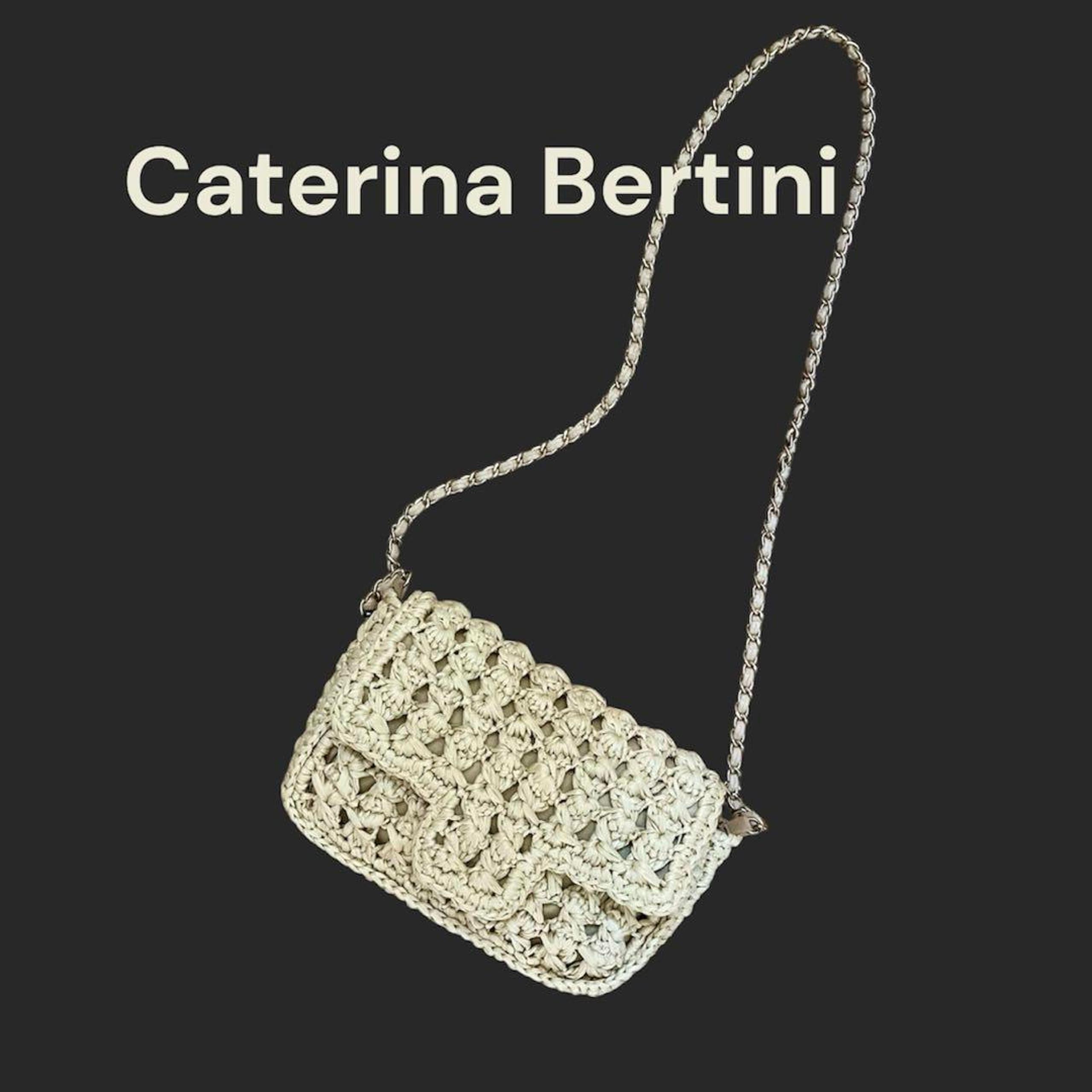 Caterina Bertini Raffia Chain Bag