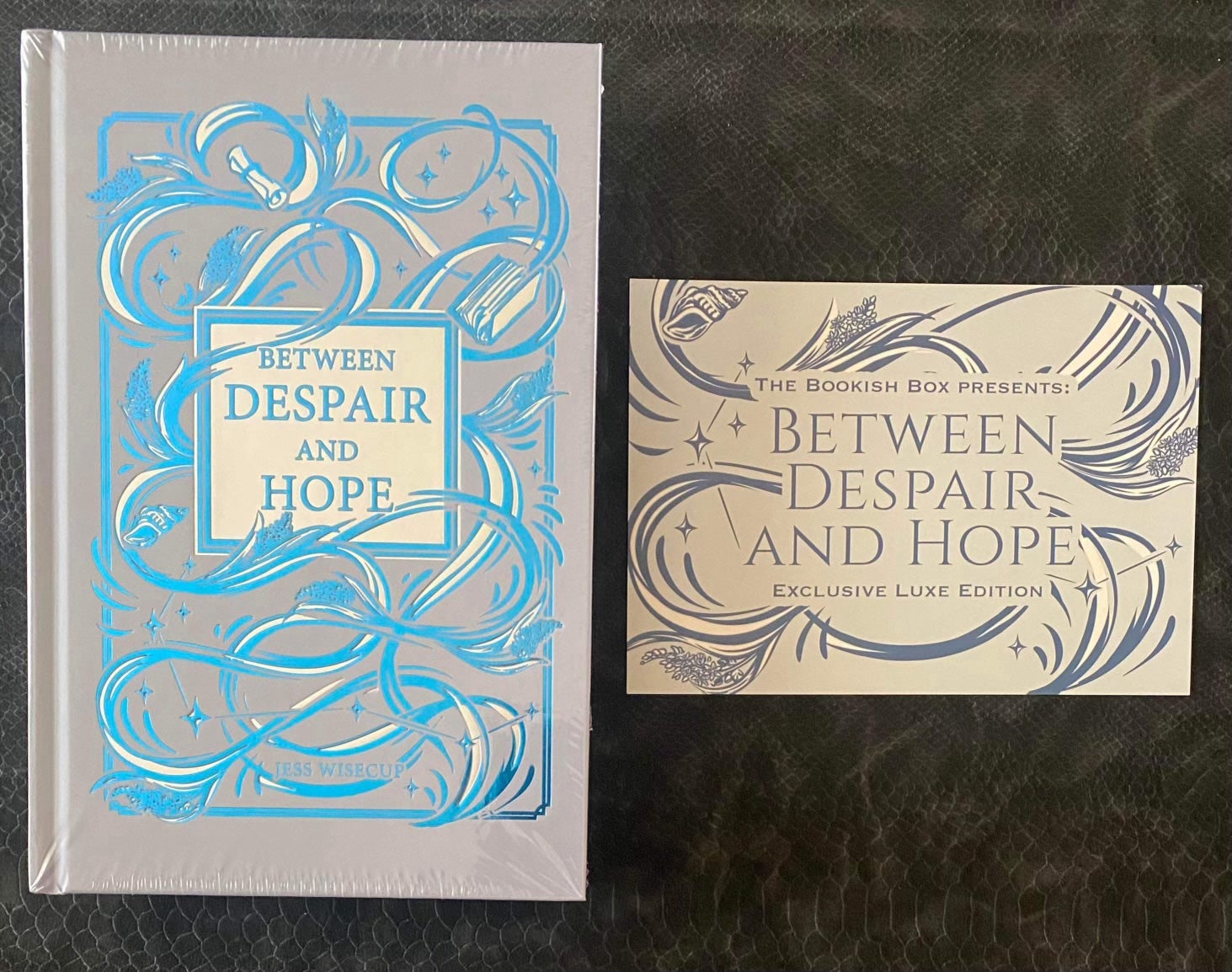 The Bookish Box Between Despair and Hope Jess Wisecup STENCILED SEALED EXCLUSIVE - detail