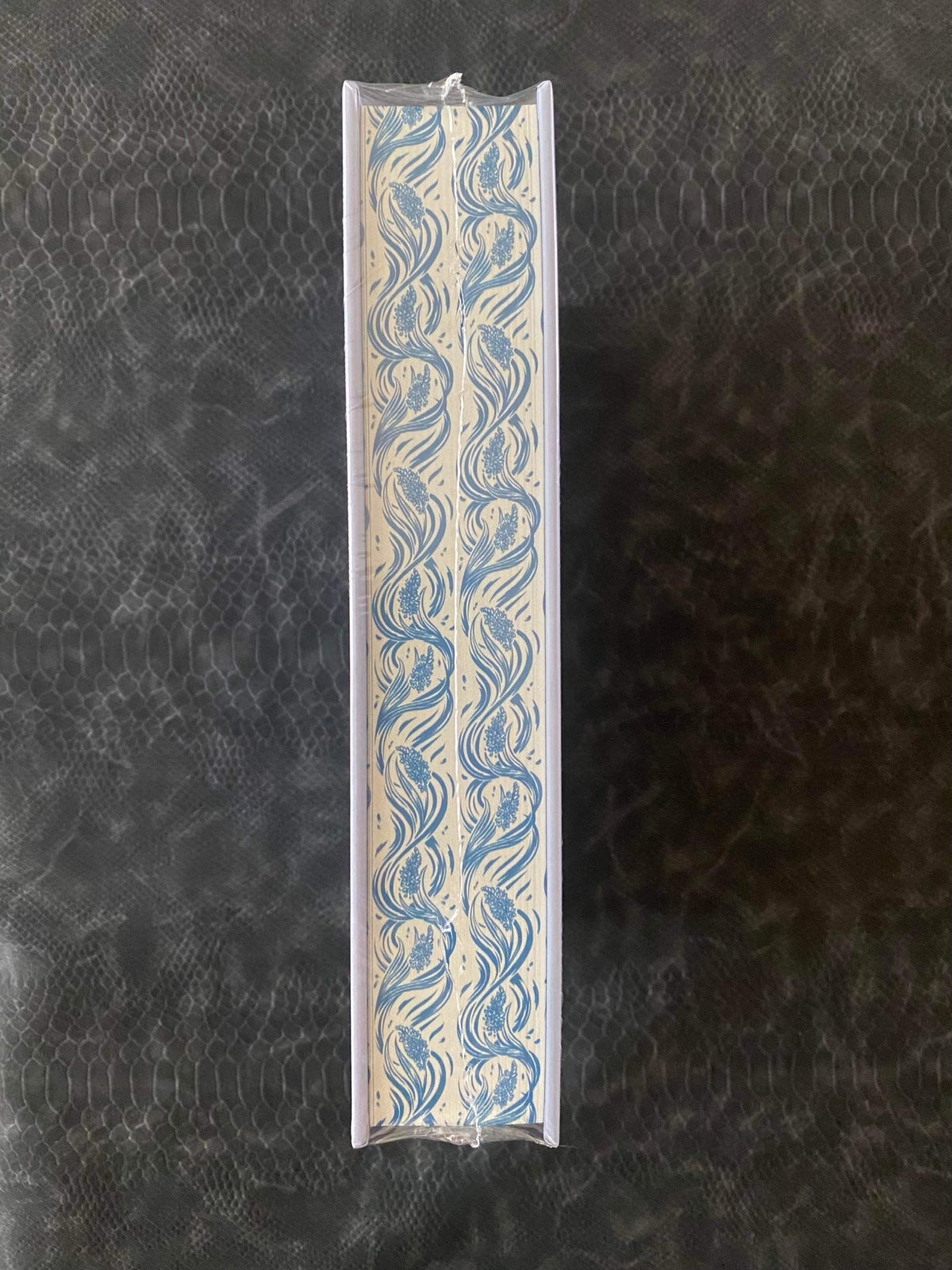 The Bookish Box Between Despair and Hope Jess Wisecup STENCILED SEALED EXCLUSIVE - detail