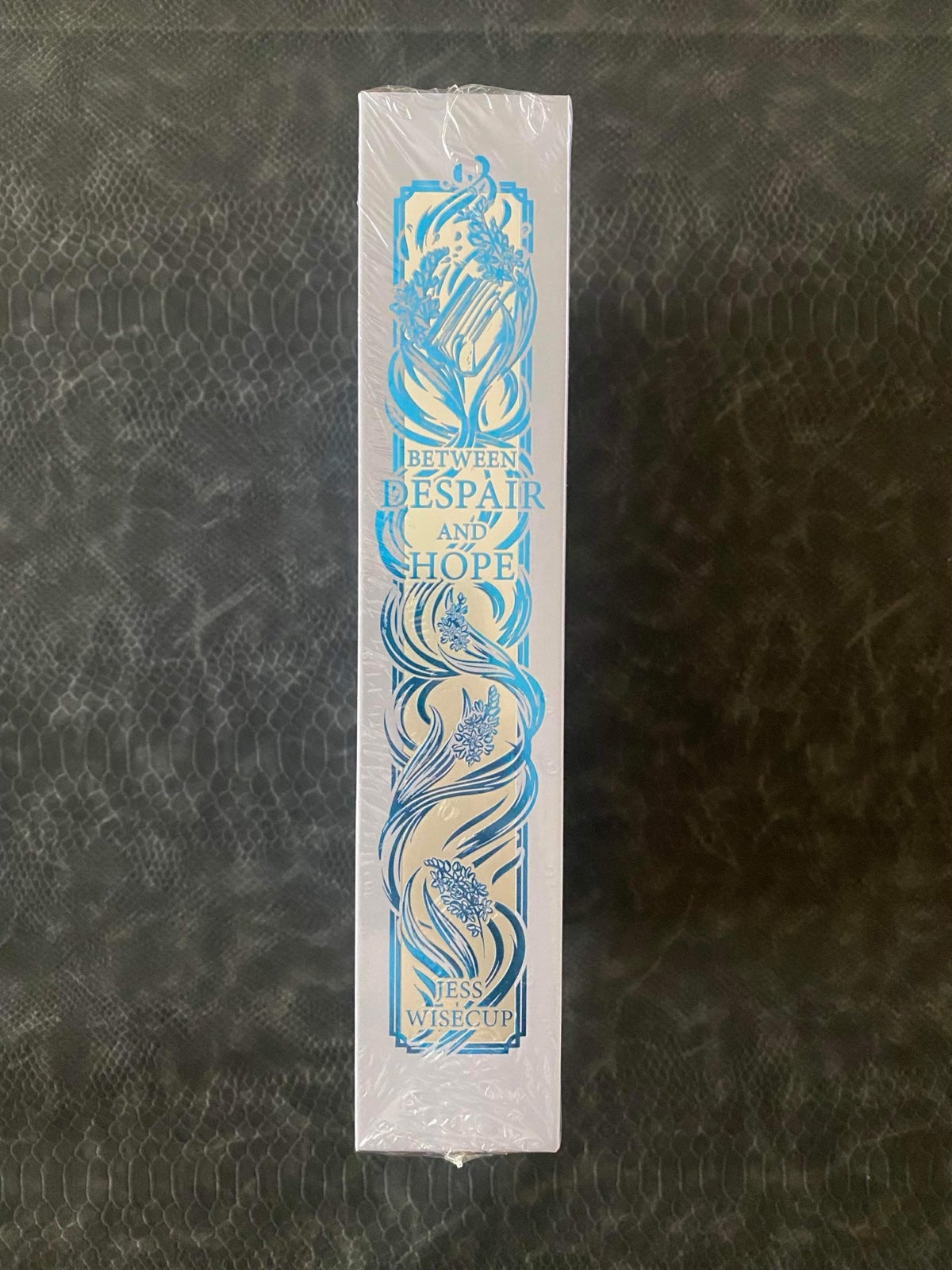 The Bookish Box Between Despair and Hope Jess Wisecup STENCILED SEALED EXCLUSIVE - detail