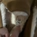 UGG men’s ascot slipper