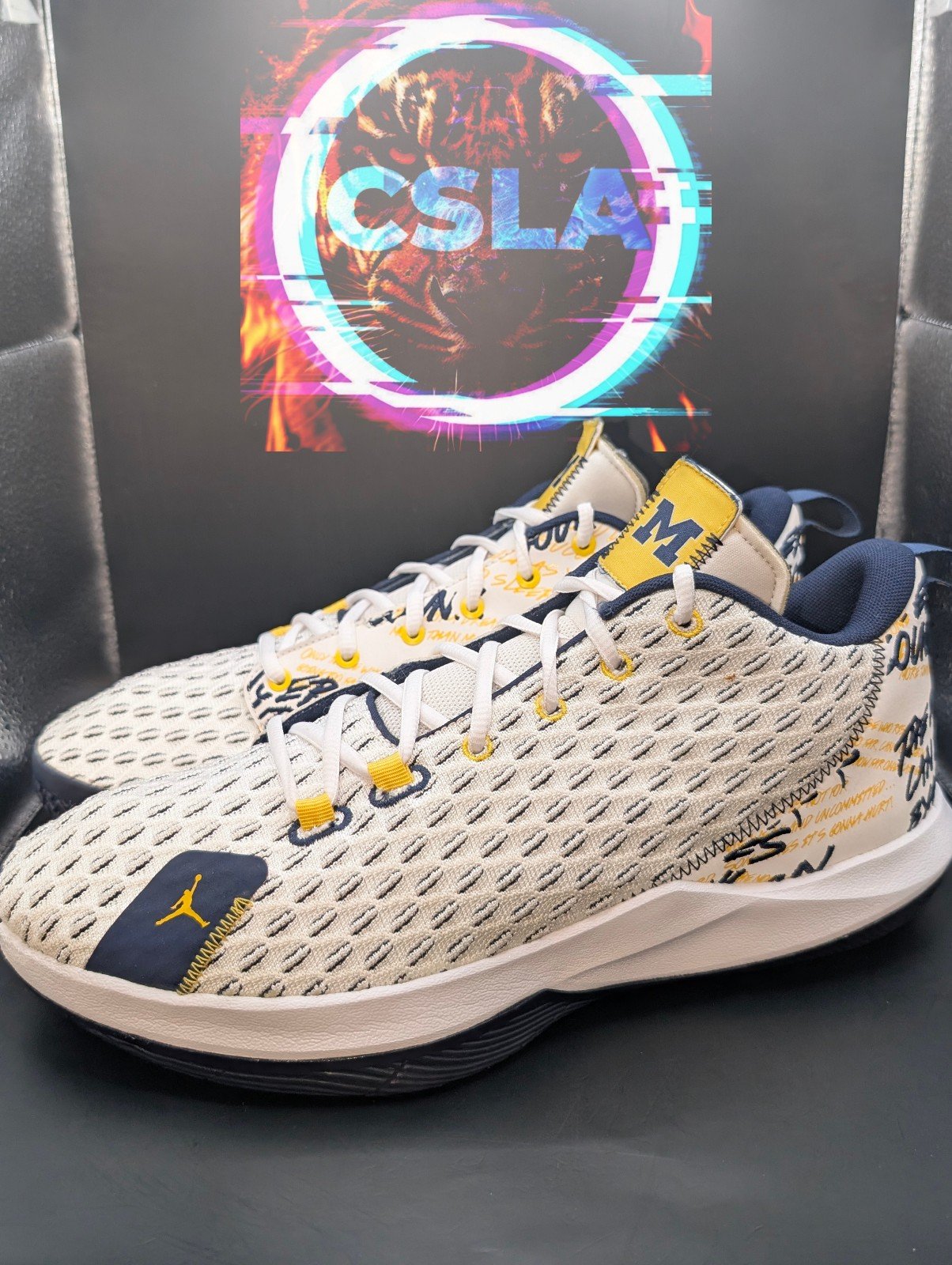Air Jordan CP3 XII 12 University of Michigan Promo PE VNDS
