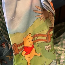 Disney Winnie the Pooh kitchen towel