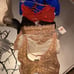 Lot of 6 Free People brand bralettes