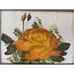 Vintage IMPASTO ART Flower Floral MCM Oil Painting Framed Matted Orange Rose