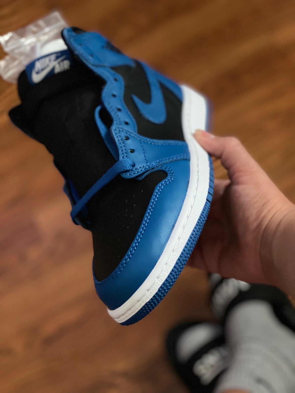 Jordan 1s High