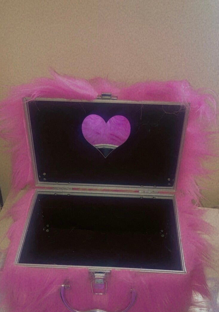 Pink furry traincase